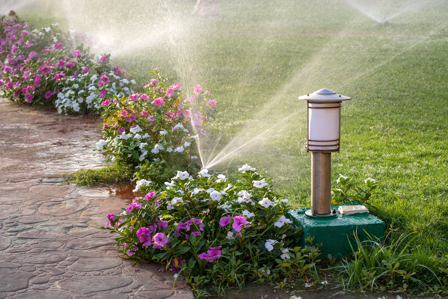 Plastic Sprinkler Irrigating Flower Bed on Grass Lawn with Water