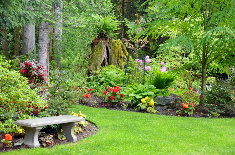 Pacific northwest garden